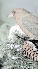 Scaricare immagine Landscape,Birds,Snow,Animals sul telefono gratis.