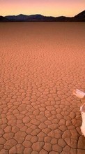 Landscape,Desert per Samsung Galaxy Mini S5570