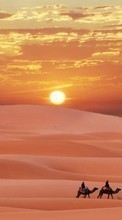 Scaricare immagine Landscape,Desert,Camels sul telefono gratis.