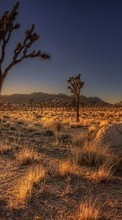 Scaricare immagine Landscape, Desert, Sunset sul telefono gratis.