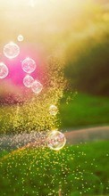 Scaricare immagine Landscape, Bubbles, Sun, Grass sul telefono gratis.