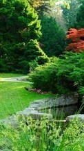 Scaricare immagine Plants, Landscape sul telefono gratis.