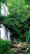 Scaricare immagine Nature, Plants, Waterfalls sul telefono gratis.