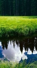 Landscape,Rivers per Meizu M2 Mini