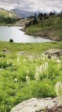 Scaricare immagine Landscape, Rivers, Grass sul telefono gratis.