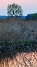 Scaricare immagine Landscape, Rivers, Grass, Sunset sul telefono gratis.