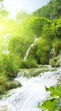 Scaricare immagine Landscape, Rivers, Bush, Waterfalls sul telefono gratis.