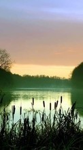 Scaricare immagine Landscape, Rivers, Sunset sul telefono gratis.