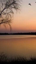 Landscape,Rivers,Sunset per Lenovo A536