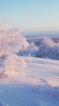 Scaricare immagine Landscape, Snow, Bush, Winter sul telefono gratis.