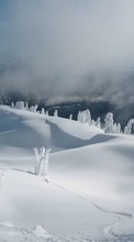 Scaricare immagine 240x320 Landscape, Winter, Snow sul telefono gratis.