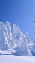 Scaricare immagine 480x800 Landscape, Winter, Snow sul telefono gratis.