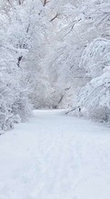 Scaricare immagine Landscape, Snow, Winter sul telefono gratis.