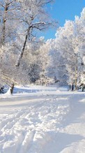 Landscape, Snow, Winter