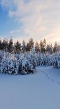 Scaricare immagine Landscape,Snow,Winter sul telefono gratis.