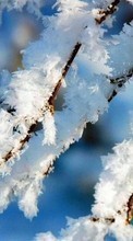 Scaricare immagine Landscape, Winter, Snow sul telefono gratis.