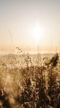 Landscape, Sun, Grass per Fly ERA Nano 3 IQ436
