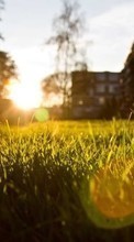 Scaricare immagine Landscape, Grass, Sunset sul telefono gratis.