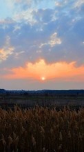 Scaricare immagine Landscape,Sunset sul telefono gratis.