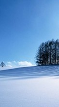 Scaricare immagine Landscape, Winter sul telefono gratis.