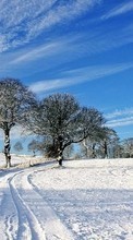 Landscape,Winter per Sony Ericsson txt pro