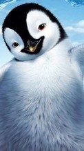 Scaricare immagine Pinguins,Pictures,Animals sul telefono gratis.