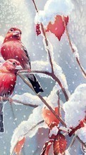 Scaricare immagine Animals, Winter, Birds, Snow, Drawings sul telefono gratis.