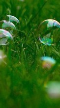 Scaricare immagine Bubbles, Plants, Grass sul telefono gratis.