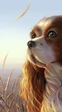 Scaricare immagine Animals, Dogs, Drawings sul telefono gratis.
