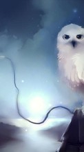 Scaricare immagine Pictures, Owl, Animals sul telefono gratis.