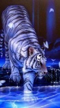 Pictures, Tigers, Animals per Fly ERA Style 2 IQ4601