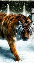 Scaricare immagine Pictures, Tigers, Animals sul telefono gratis.