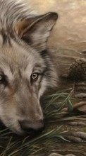 Scaricare immagine Pictures, Wolfs, Animals sul telefono gratis.
