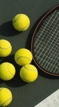 Scaricare immagine 240x320 Sport, Objects, Tennis sul telefono gratis.