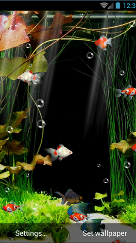 Aquarium by minatodev - scaricare Acquari sfondi animati per Android di cellulare gratuitamente.