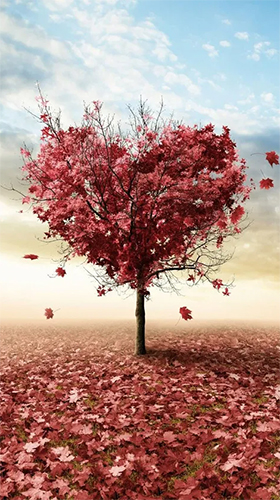 Autumn love - scaricare Paesaggio sfondi animati per Android di cellulare gratuitamente.