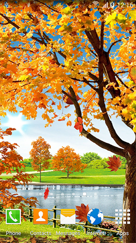 Autumn pond - scaricare Paesaggio sfondi animati per Android di cellulare gratuitamente.