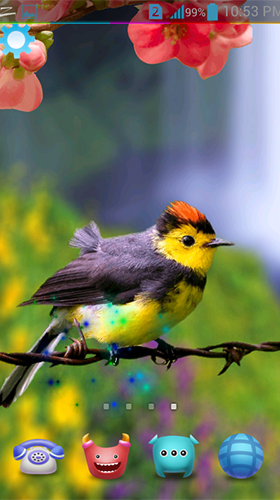 Birds 3D by AppQueen Inc. - scaricare Animali sfondi animati per Android di cellulare gratuitamente.