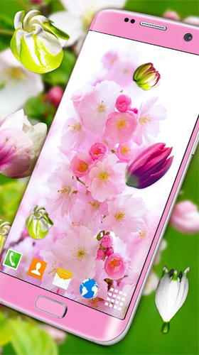 Blossoms 3D - scaricare  sfondi animati per Android di cellulare gratuitamente.