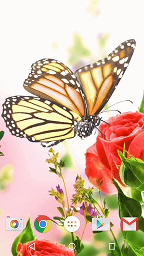 Scarica gratis sfondi animati Butterfly by Fun Live Wallpapers per telefoni di Android e tablet.