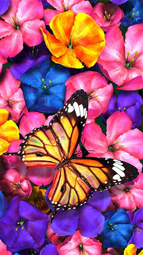 Scarica gratis sfondi animati Butterfly by HQ Awesome Live Wallpaper per telefoni di Android e tablet.