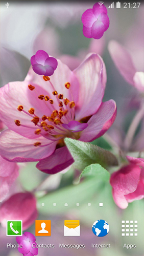 Cherry Blossom - scaricare Fiori sfondi animati per Android di cellulare gratuitamente.
