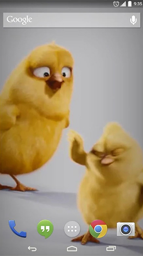 Chickens - scaricare  sfondi animati per Android di cellulare gratuitamente.
