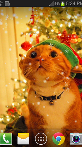 Christmas cat by live wallpaper HongKong - scaricare Vacanze sfondi animati per Android di cellulare gratuitamente.