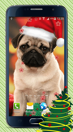Christmas dogs - scaricare Animali sfondi animati per Android di cellulare gratuitamente.