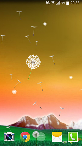 Dandelion by Crown Apps - scaricare  sfondi animati per Android di cellulare gratuitamente.