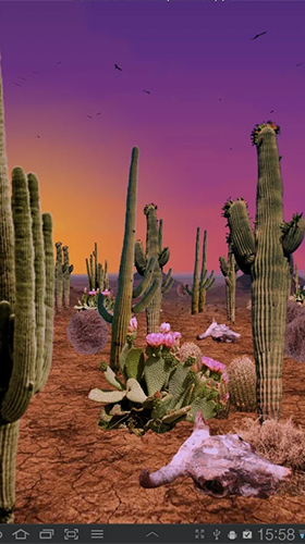 Desert - scaricare Paesaggio sfondi animati per Android di cellulare gratuitamente.