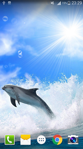 Dolphin by Live wallpaper HD - scaricare Animali sfondi animati per Android di cellulare gratuitamente.