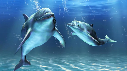 Dolphins 3D by Mosoyo - scaricare Animali sfondi animati per Android di cellulare gratuitamente.