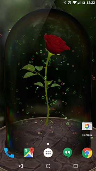Scarica gratis sfondi animati Enchanted Rose per telefoni di Android e tablet.
